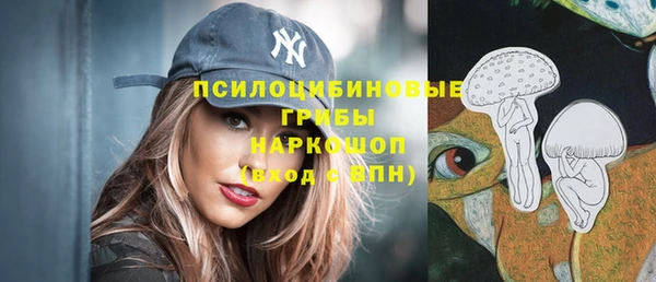 apvp Алексеевка