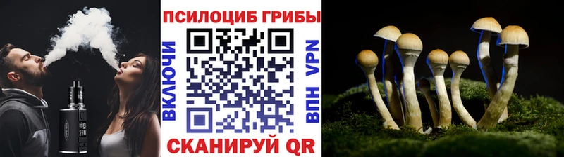 Галлюциногенные грибы прущие грибы  Комсомольск 