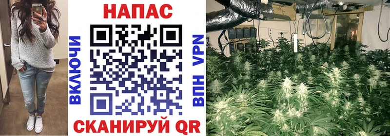 купить закладку  Комсомольск  Бошки марихуана конопля 